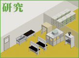 研究